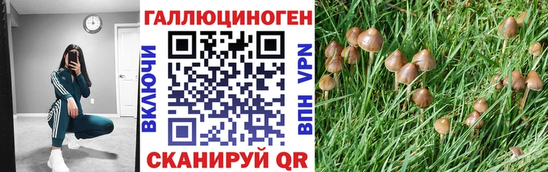 Псилоцибиновые грибы мухоморы Полесск