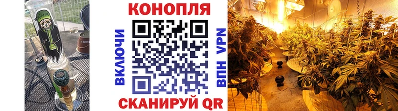 Конопля гибрид  Купить закладки  Полесск 